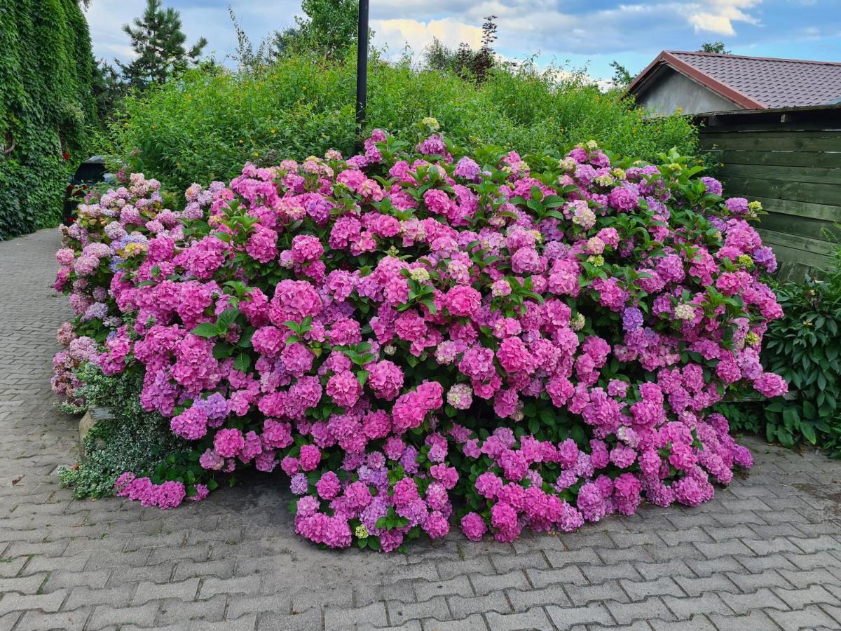 Dworek Sw.Antoniego Slawutowo Exterior foto